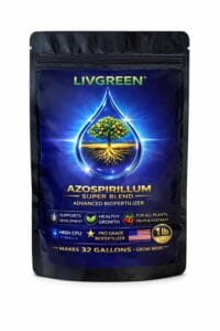 1 lb bag